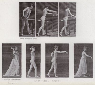 The Human Figure in Motion: Various acts of throwing (b/w photo) 作者 爱德沃德·迈布里奇