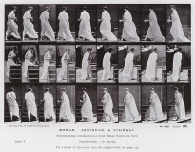 The Human Figure in Motion: Woman, ascending a stairway (b/w photo) 作者 爱德沃德·迈布里奇