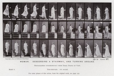 The Human Figure in Motion: Woman, descending a stairway, and turning around (b/w photo) 作者 爱德沃德·迈布里奇