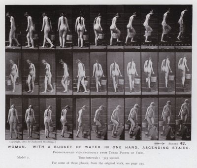 The Human Figure in Motion: Woman, with a bucket of water in one hand, ascending stairs (b/w photo) 作者 爱德沃德·迈布里奇