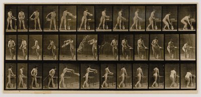 倒水的女人》，选自《动物运动》一书 作者 Eadweard Muybridge