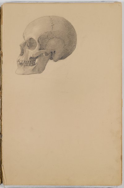 Anatomy Sketch Book，1849（包含石墨图纸的素描本） 作者 伊士曼·约翰逊