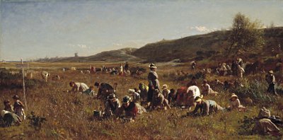 蔓越莓收获。楠塔基特岛，1880年 作者 伊士曼·约翰逊
