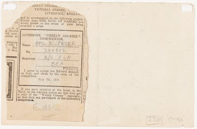 1917年向报纸竞赛编辑提交的意见书 作者 埃德加·弗莱尔