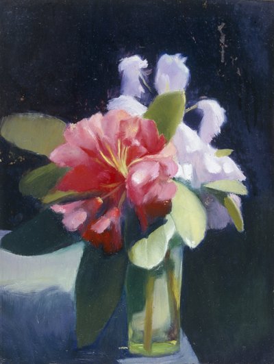 杜鹃花 作者 埃德加·赫伯特·托马斯