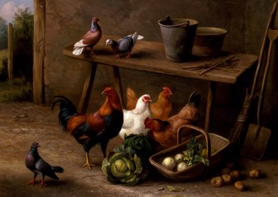 鸡、鸽子和鸽子 作者 Edgar Hunt