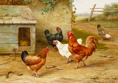 按犬舍分类的家禽 作者 Edgar Hunt
