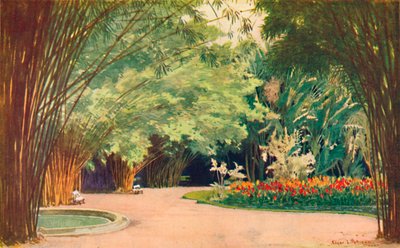 竹林-植物园，1914年 作者 埃德加·帕蒂森