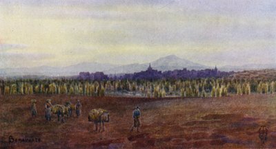 西班牙北部：贝纳文特，从卡斯特罗-贡萨洛桥上方（彩色石版画） 作者 埃德加 TA 威格拉姆