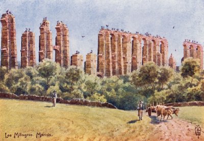 西班牙北部：梅里达，“Los Milagros”，大渡槽遗址（彩色平版印刷） 作者 埃德加 TA 威格拉姆