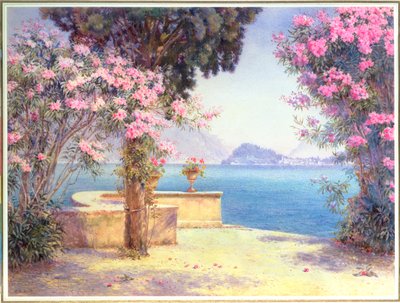 贝拉吉奥 (Bellagio)，来自梅纳焦大酒店的花园 作者 Edith Helena Adie