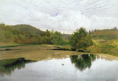 The Pool，1860（纸和笔墨水） 作者 埃德蒙·乔治·沃伦
