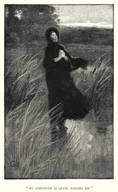 Illustration for Jane Eyre by Charlotte Bronte (engraving) 作者 埃德蒙·亨利·加勒特