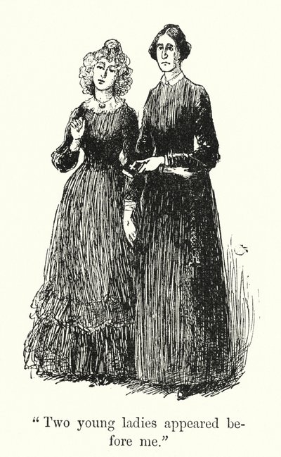 Charlotte Bronte 为 Jane Eyre 绘制的插图（石版画） 作者 埃德蒙·亨利·加勒特