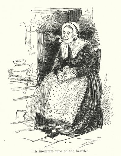Charlotte Bronte 为 Jane Eyre 绘制的插图（石版画） 作者 埃德蒙·亨利·加勒特