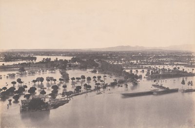 阿维尼翁（1856 年洪水）（Avignon [Inondation de 1856]) 作者 爱德华·丹尼斯·巴尔杜斯