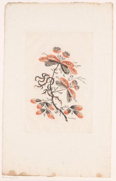 花朵和花蕾
Fleurs Idéalle（系列名称） 作者 查尔斯·列维兹