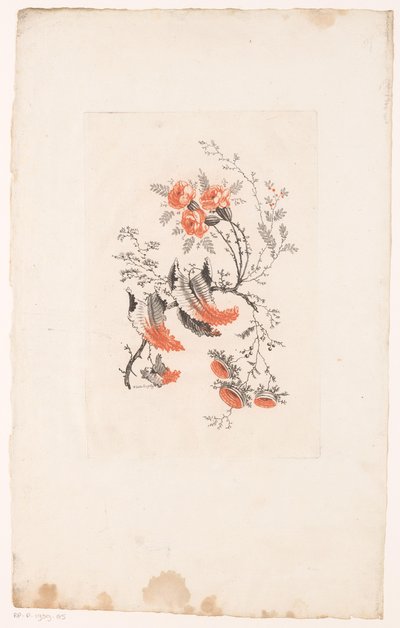 多样的幻想
梦幻之花（系列名称） 作者 查尔斯·列维兹