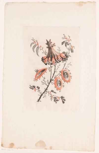 阳伞形状的花朵 Fleurs Idéalle（系列名称） 作者 让·巴蒂斯特·皮列曼