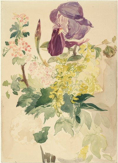 花与虹膜，金莲花和大竺葵的。 1880年 作者 爱德华·马奈
