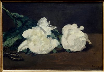 白牡丹的枝条和秒杀者 爱德华-马奈(1832-1883)的画作 1864年 Dim.0.31x0.46米，巴黎。奥赛博物馆 作者 爱德华·马奈