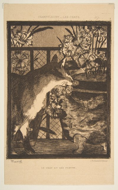 猫和花。尚菲勒里（Champfleury）的猫插图，1869年。 作者 爱德华·马奈