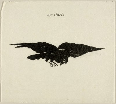 飞翔的乌鸦：《乌鸦》（Le Corbeau）中的图书借阅处 作者 爱德华·马奈