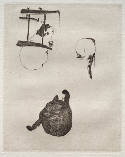 猫，1868-1869年。 作者 爱德华·马奈