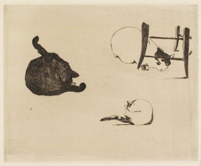 猫，1869年 作者 爱德华·马奈