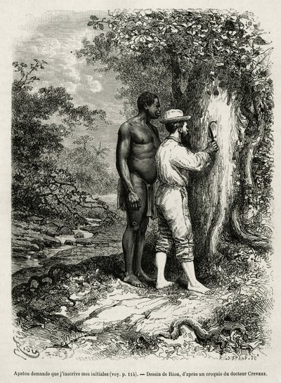 Apatou, guide and travel companion asks the explorer author to engrave his initials in the bark of a tree. Engraving by Riou, to illustrate the story of Cayenne aux Andes, by Jules Crevaux, doctor of the French navy, in 1878-1879, published in the Tour du  作者 爱德华·里奥（Edouard Riou）