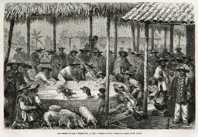 伊巴格（哥伦比亚）的斗鸡和街头动画，由Riou绘制，用于说明1875-1876年Equinoxiale America（哥伦比亚、厄瓜多尔、秘鲁）的故事，由法国政府负责的旅行者代表团Ed.雕刻在《世界之旅》中 作者 爱德华·里奥（Edouard Riou）