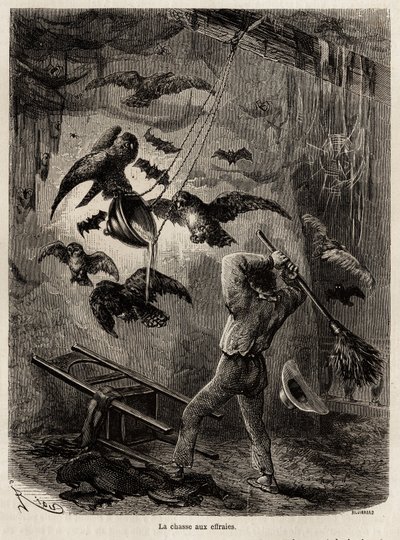 狩猎在 Sarayacu（秘鲁）教堂避难的猫头鹰，由 Riou 绘制，以说明 Paul Marcoy 从 1848 年到 1860 年从太平洋到大西洋的旅程。雕刻在“Le tour du monde”，由 Edouard Charton 编辑 作者 爱德华·里奥（Edouard Riou）