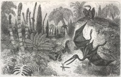 火山时期的景观"。描绘翼龙的插图 作者 爱德华·里奥（Edouard Riou）