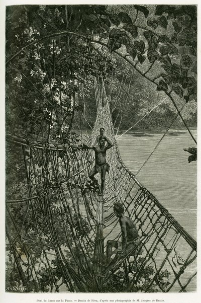 帕萨河上的利亚纳桥。里欧的雕刻，为故事《非洲西部的旅行》作插图 作者 爱德华·里奥（Edouard Riou）