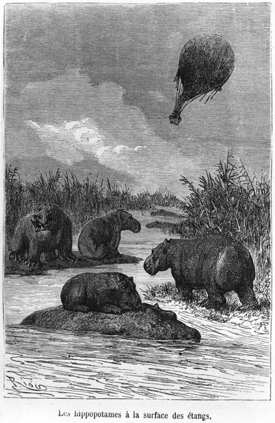 河马，Jules Verne（1828-1905）巴黎，Hetzel的“气球中的五周”中的插图 作者 爱德华·里奥（Edouard Riou）