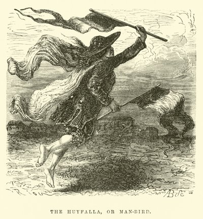 Huyfalla，或man-bird 作者 爱德华·里奥（Edouard Riou）