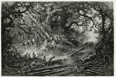 The exploitation of mahogany in the forests of the Andes. Engraving by Riou, to illustrate the story “” Journey to Yucatan and the Land of Lacandons””, in 1882, by Desire Charnay (1828-1915) archeologist and photographer. Published in the Tour du monde nou 作者 爱德华·里奥（Edouard Riou）