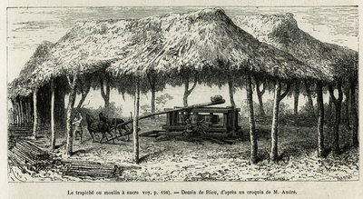 1875 年至 1876 年，Ed. 在 Panche（哥伦比亚）绘制的用于磨碎甘蔗的 Trapiche 或糖厂，由 Riou 绘制，以说明 Equinoxiale America（哥伦比亚、厄瓜多尔、秘鲁）的故事。 安德烈，法国政府负责旅行者任务。 在 Le t 雕刻 作者 爱德华·里奥（Edouard Riou）