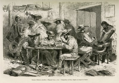 自然历史作品，在奇帕克（哥伦比亚），在印第安人好奇的注视下，准备干燥植物标本室，由 E.Riou 绘制，以说明前往美洲分点的旅程（哥伦比亚、厄瓜多尔、秘鲁） , 在 1875-1 作者 爱德华·里奥（Edouard Riou）