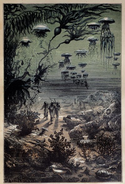 水下地板。 爱德华·里奥（Edouard Riou，1833-1900）为儒勒·凡尔纳（Jules Verne，1828-1905）19 世纪私人收藏的小说《海底两万里》所作的插图 作者 爱德华·里奥（Edouard Riou）