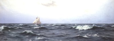 Valkyrie II穿越大西洋，约于1893年 作者 爱德华德马蒂诺