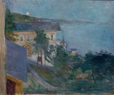 来自 nordstrand 作者 爱德华·蒙克