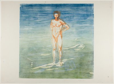 男子沐浴 作者 爱德华·蒙克
