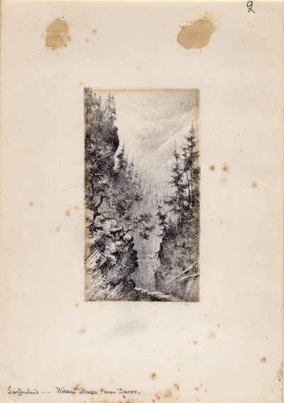 Wiesen Strasse在瑞士达沃斯附近，1898-99 作者 爱德华·阿德里安·威尔逊