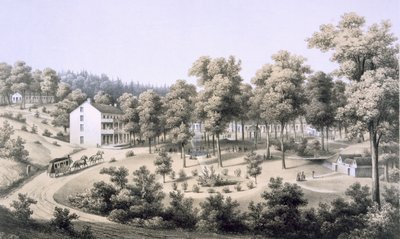 Stribling Springs，Spa Village，Augusta Country，1858 作者 爱德华·拜尔