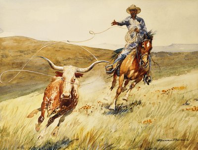 操纵方向 作者 爱德华·波林