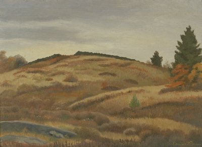 秋天的田野，约1926-1934年。 作者 爱德华·布鲁斯