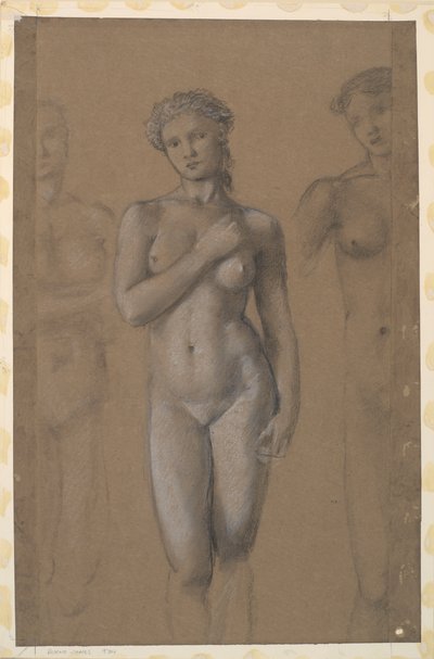 女性裸体-金星的三项研究 作者 Edward Burne Jones