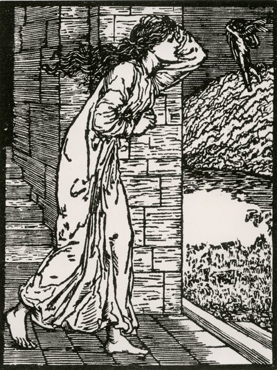 普赛克冲出宫殿 作者 爱德华·科利（之后）伯恩·琼斯（Burne Jones）