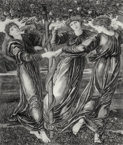 赫斯珀里得斯花园 作者 爱德华·科利（之后）伯恩·琼斯（Burne Jones）